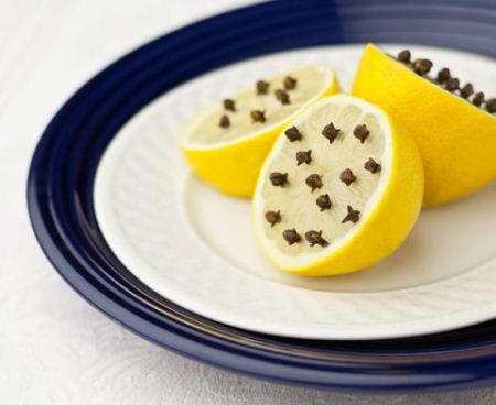 Lemon-with-cloves-on-blue-plate (1)