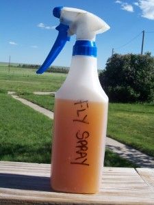 Natural Fly Killer Spray Recipe